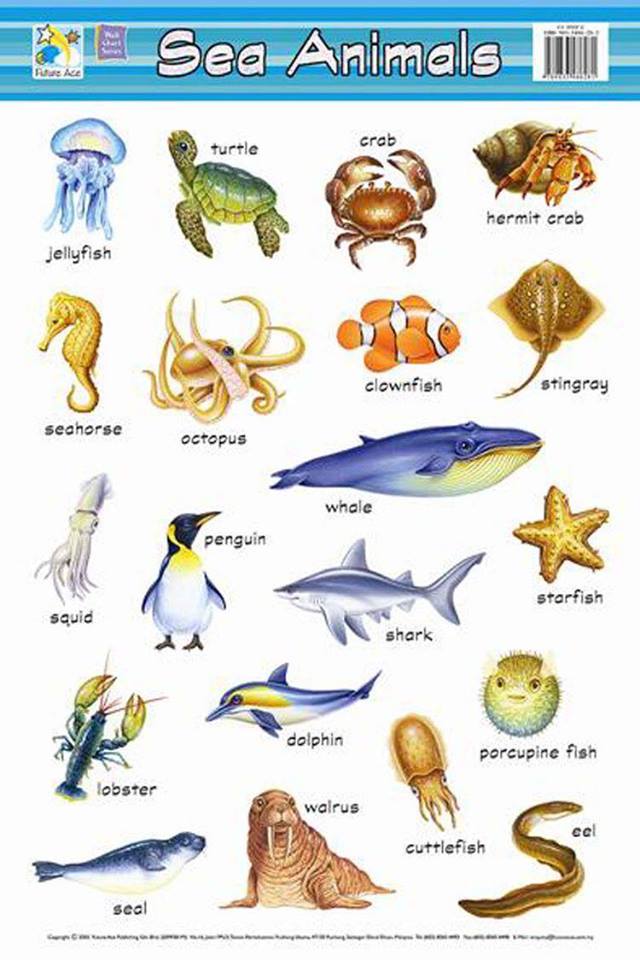 Sea Animals Vocabulary - English PDF Docs.